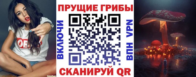 Галлюциногенные грибы Magic Shrooms  Краснодар 